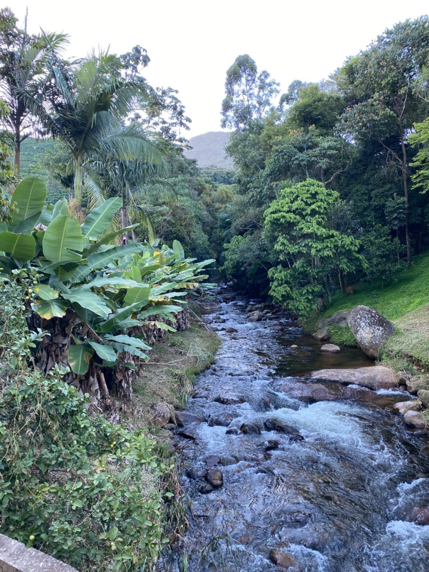 Alojamento de Acomodação e Pequeno-almoço Altitude 1200 Fazendinha (Minas Gerais)