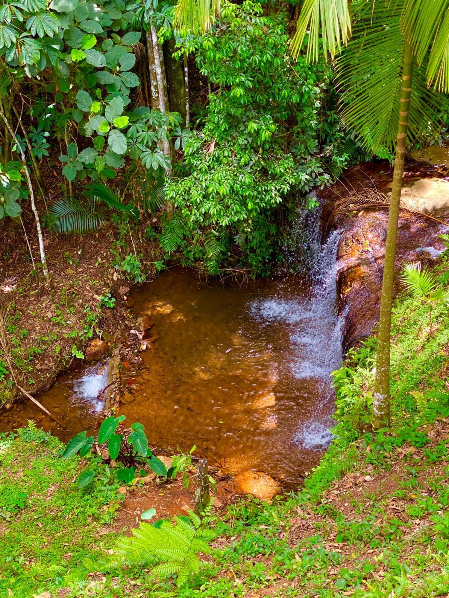 Altitude 1200 * Fazendinha (Minas Gerais)